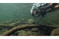 【滝壺内での貴重な映像撮影に成功】赤目四十八滝で真冬の潜水調査を実施