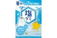 夏の塩分補給をおいしく手軽に。6種類のビタミンB群・クエン酸・ビタミンC配合『塩グミ（ソルティパイン味）』新登場