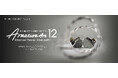水月雨（MOONDROP）、片側12基BAドライバー搭載カナル型イヤホン「Armature Art 12」を6月17日（水）より発売