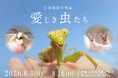 話題の虫プロデューサー片田 陽依氏の写真展、虫の表情を捉えた「愛しき虫たち」を新宿 北村写真機店で開催