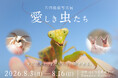 話題の虫プロデューサー片田 陽依氏の写真展、虫の表情を捉えた「愛しき虫たち」を新宿 北村写真機店で開催