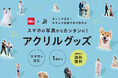 【写真の持ち歩き・飾り方が変化】「しまうまプラス」のアクリルグッズ店頭受取が、カメラのキタムラ全国約500店舗で2026年9月15日より開始