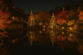 豊島区立目白庭園 秋の庭園ライトアップ『TERASU』