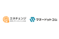 ENECHANGE、ツリーファイナンシャルとコンテンツ提携し、ファイナンシャルプランナーによるサービス紹介を開始