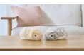 慶應義塾大学とカシオ計算機、AIペットロボット「Moflin」に関する心理学アドバイザリを実施