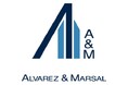 ALVAREZ & MARSAL、日本に自動車業界グループを新設　　　　　山田マーク裕二郎氏をグループリーダーに任命