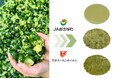 【沖縄×愛媛】廃棄されていたシークヮーサー果皮を新素材へ！「愛媛果汁食品」が“苦味抑制と香り保持”を実現し、沖縄農産物の新たな価値を創出。沖縄らしい菓子・土産の可能性を拡大！