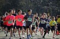四街道総合公園でランニング大会を開催します