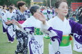 第34回四街道ふるさとまつりを開催します