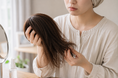 「まだ使いたいのに、買い替えるしかない」そんなウィッグ利用者の悩みに応えたい