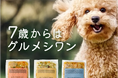 「ずっと元気でいてほしい」愛犬の健康を支える総合栄養食