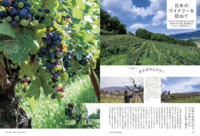 おとなの週末2020年5月号「いま楽しみたい日本ワイン」」