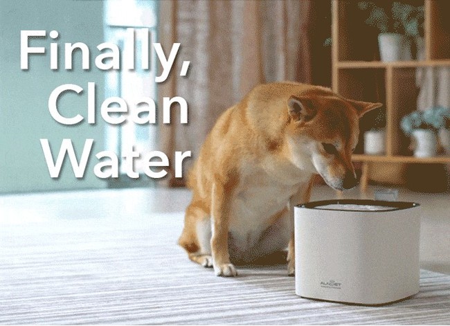 ペットが、いつでも安全でおいしいお水を飲めます！