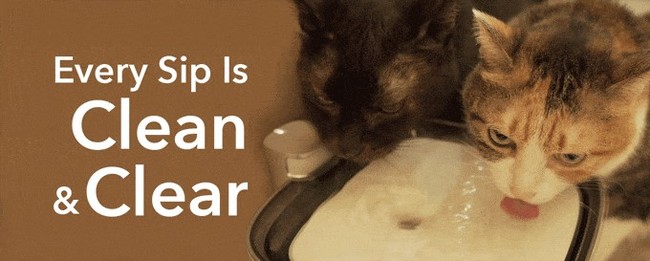 よく飲み水に落ちてしまう、抜け毛や食べかすなどもろ過され取り除かれます