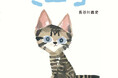 人気絵本作家・長谷川義史の最新刊『ミーコ』は幼い頃の飼い猫の思い出
