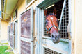 現役競走馬No.1人気・ドウデュース撮り下ろし写真集が発売前重版決定! 重版を記念して、未公開カット解禁&タワーレコード渋谷店でパネル展も開催!