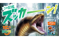 シリーズ累計600万部超の「講談社の動く図鑑MOVE」プレ15周年に突入! 抽選で【10,000円分の図書カードが当たるキャンペーン】など、ズッカーン夏フェアvol.1を開催!