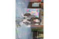 酒井若菜 芸能デビュー30周年記念写真集の表紙＆タイトルがついに解禁！ 7月4日（土）にはお渡し会イベントも開催！