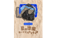夏服は早めが正解、amood『アーリーサマー』企画展 最大91%OFFでオープン