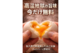 高温地獄の旨味、今だけ無料！ひょうたん温泉内「蒸汎景」で、地獄蒸しの“おいしさの入口”を体験
