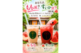 湯上がりに、桃をまるごと一杯。ひょうたん温泉「飲泉堂」、夏限定ドリンク「もも」新登場
