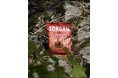 ヘルシーなのに驚くほどジャンキー！信州産ソルガムを使用した「SORGAM CHIPS」がEC＆東京・長野の実店舗にて販売開始！