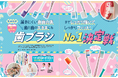 【歯ブラシランキング】磨き残しナシで虫歯・歯周病対策!ドラッグストアやネットで買えるおすすめは?(LDK2024年10月号)