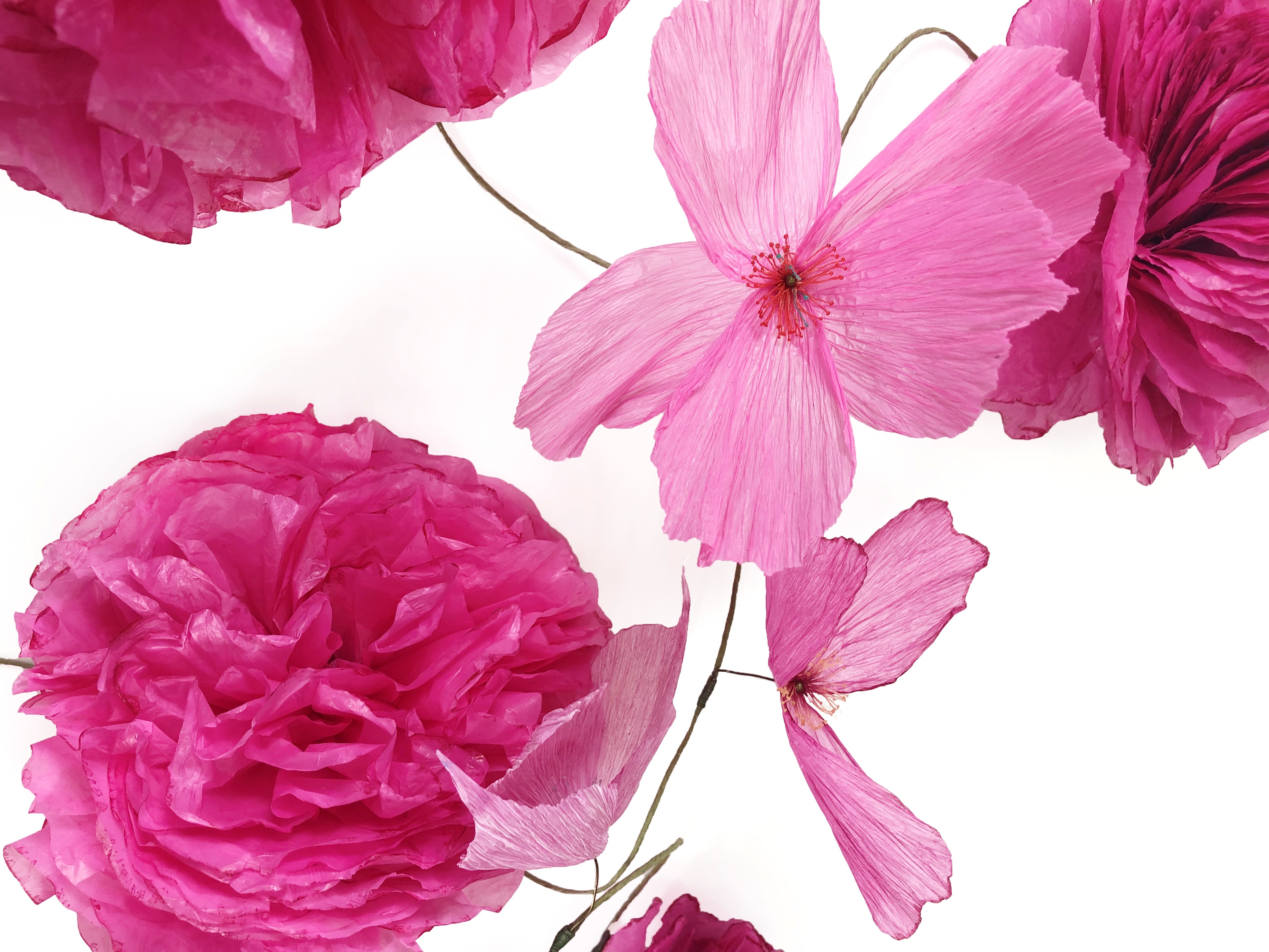 メルヴィータ 阪急うめだ本店 年11月4日 水 リニューアルオープン メルヴィータジャポン株式会社のプレスリリース