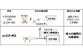 単一細胞中の微量元素分析サービスを開始