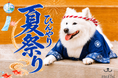 猛暑の避難所は、もふもふの中に。真っ白サモエドと涼む「ひんやり夏祭り」8月から開催