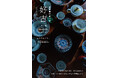 江戸・明治・大正、三つの時代を旅する「用の美」の展覧会『好古』開催のお知らせ