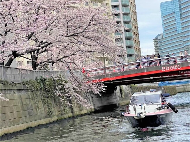 目黒川の桜を間近で堪能できるアニー号