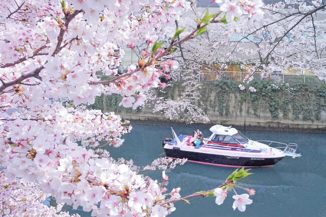 予約必須！大好評の「目黒川お花見CHANDONクルーズ」が今年も開催！ファーストクラスなお花見体験を2/1予約開始！