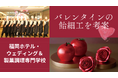 【販売レポート】パティシエコースの専門学生が博多阪急で"飴細工"の実演販売（1/22〜1/27）