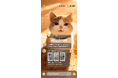 迷ったときは、この子に聞いてみて｜Meowsterにタロット機能が登場