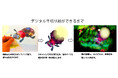 不登校や孤独を感じている子ども達へ「ひとりじゃないよ」独自技法 デジタル千切り絵❞20点を公開　7月9日（木）～14日（火）