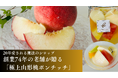 【皮むき・食べ頃の失敗ゼロ】創業74年の果物店が贈る、極上生デザート『山形完熟桃のフルーツポンチッチ』2026年8月3日Makuake限定発売