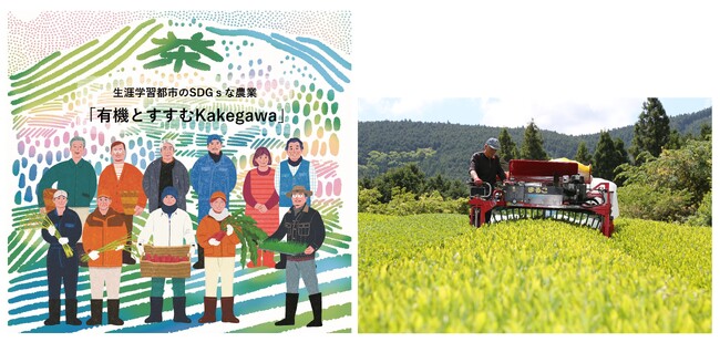 掛川市パンフレット 「有機とすすむKakegawa」（左）、有機茶栽培のようす（右）