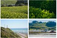 日本コカ・コーラ、静岡県御前崎市および掛川市と連携協定を締結　農業サプライチェーンに着目し周辺流域の健全性向上を推進