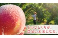 『10年後には桃が無くなる..！？』桃の未来を守るため「ガバメントクラウドファンディング®」で寄付の募集を開始します。
