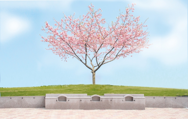 桜の木の下で眠る樹木葬