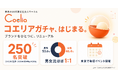 東京の20代限定社会人サークル「Coelia」、登録無料の公式LINEでゲーム感覚で遊べる新機能「コエリアガチャ」の提供を開始。イベントブランドも一本化してリニューアル、登録者は250名を突破