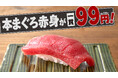 「寿司と肴 ぴん酒場 横浜西口店」に新グランドメニューが登場！何と毎日【本まぐろ赤身】が何貫食べても1貫99円（税込108円）！！