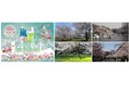 東京グリーンビズマップで巡る、都内の桜とお花見スポット