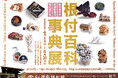 京都 清宗根付館　6月の企画展は「科学：進化と英知の物語」展