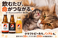 クラフトビールと猫の手グラスで、保護猫を応援。「ピースニャンコクラフト第2弾」が支援募集を開始