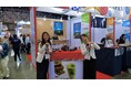 フィリピン発・日本展開の抹茶ブランド「Chotto Matcha」、タイ最大級の国際食品展示会「THAIFEX – ANUGA ASIA」に出展