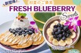 【La・Ohana(ラ・オハナ)】ハワイの風を感じる初夏の贈り物♪大粒でジューシーな“フレッシュブルーベリー”のハワイアンパンケーキ＆アサイーボウルが期間限定にて新登場！