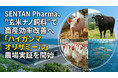 SENTAN Pharma、”玄米ナノ飼料”で畜産効率改善へ「ハイガンマオリザミール」農場実証を開始。