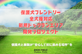 【千葉県富津市】保護犬とその里親が安心して過ごせる環境を目指すー　新たなドッグフィールド開発構想「DOX FIELD Northland」プロジェクト始動